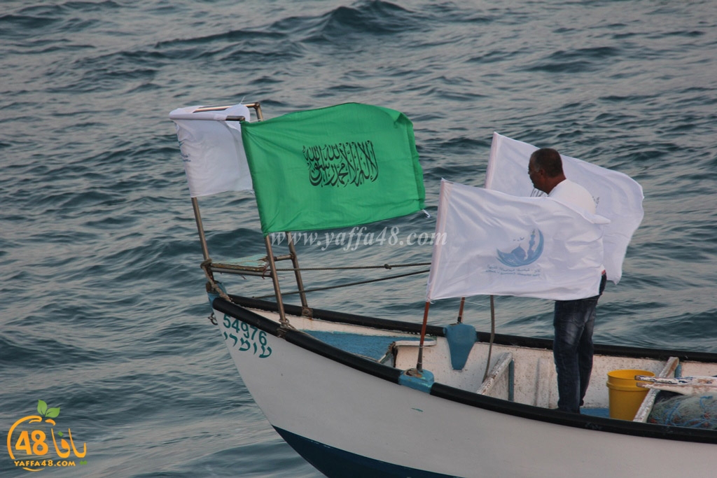 iste3rad sayaden yaffa (40).JPG